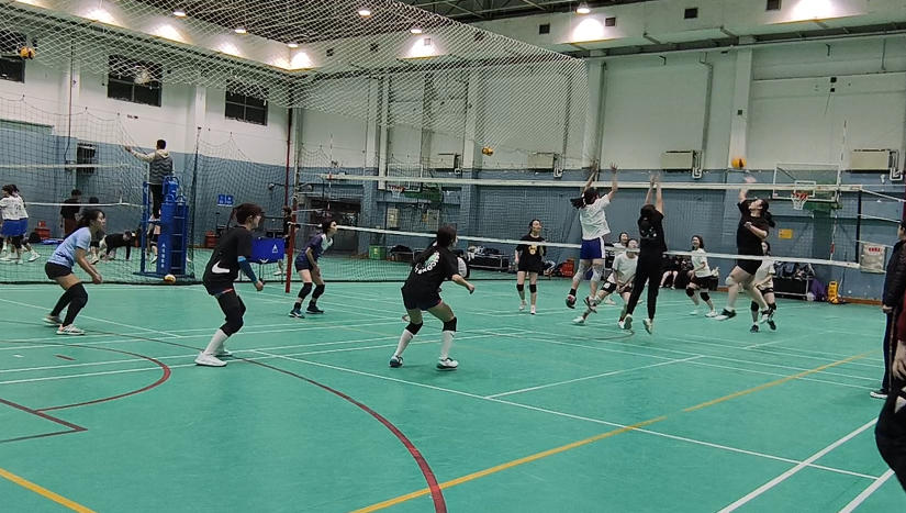 k1体育指定通道