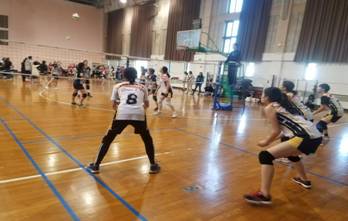 k1体育备用网址